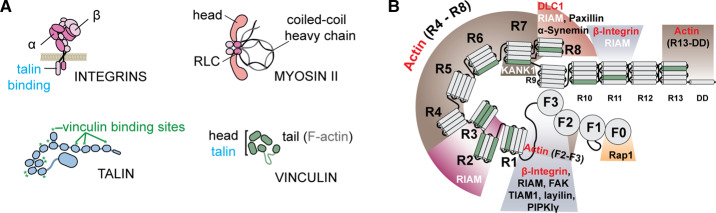 Figure 3.