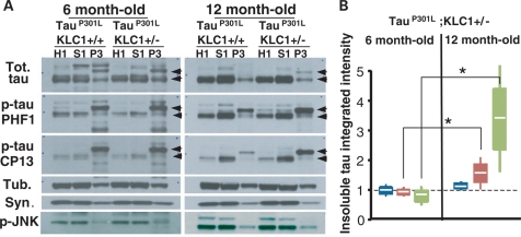 Figure 4.