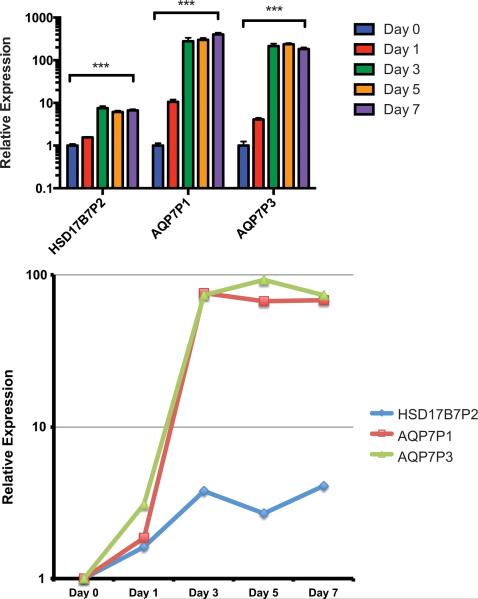 Figure 7