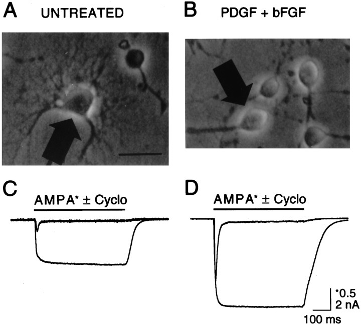 Fig. 8.