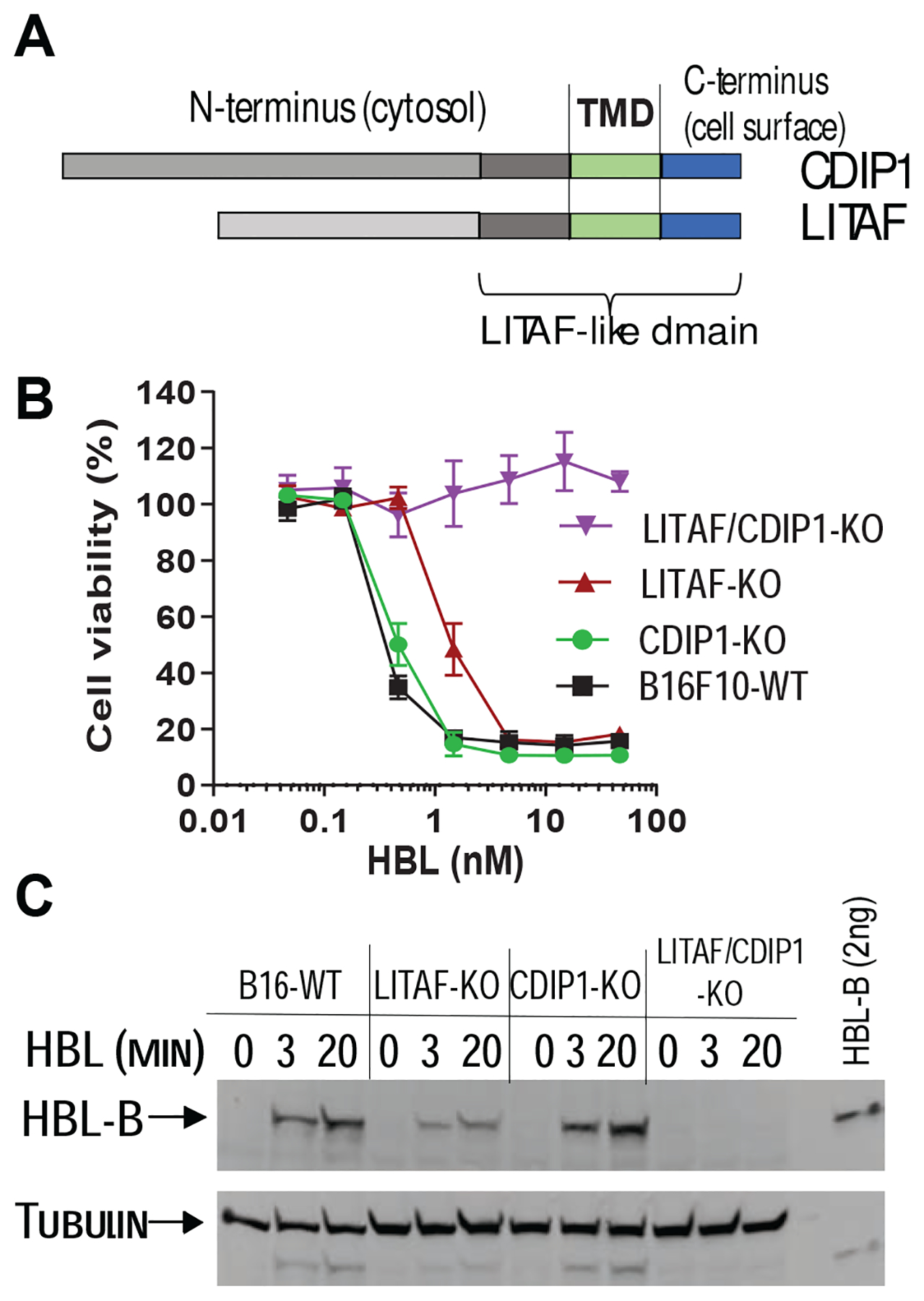 Figure 5.