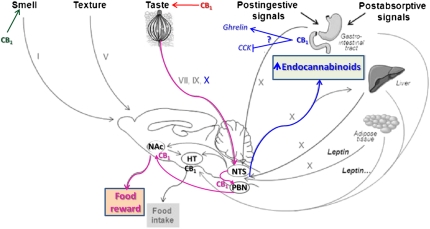 Fig. 1.