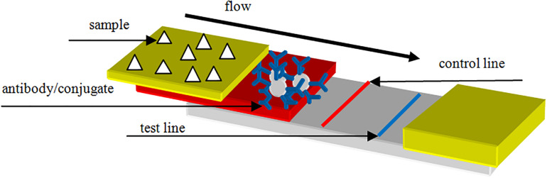 FIGURE 4