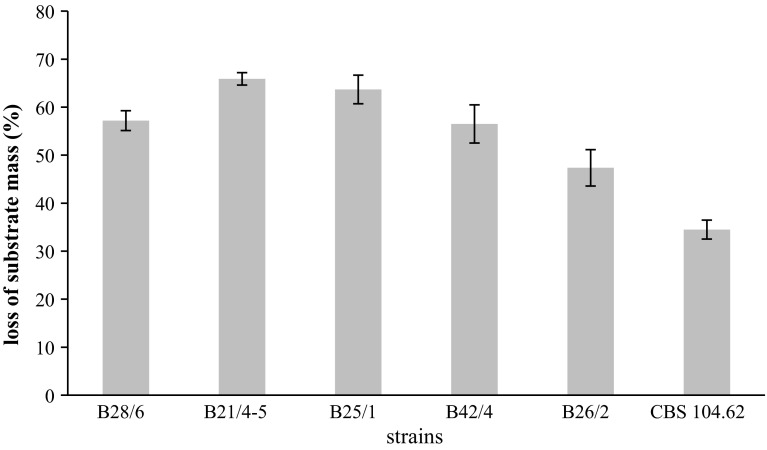 Fig. 1