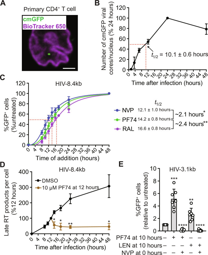 Fig. 4.