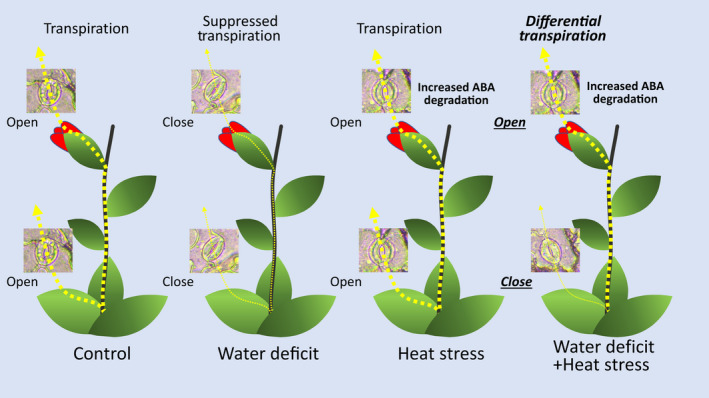 Fig. 10