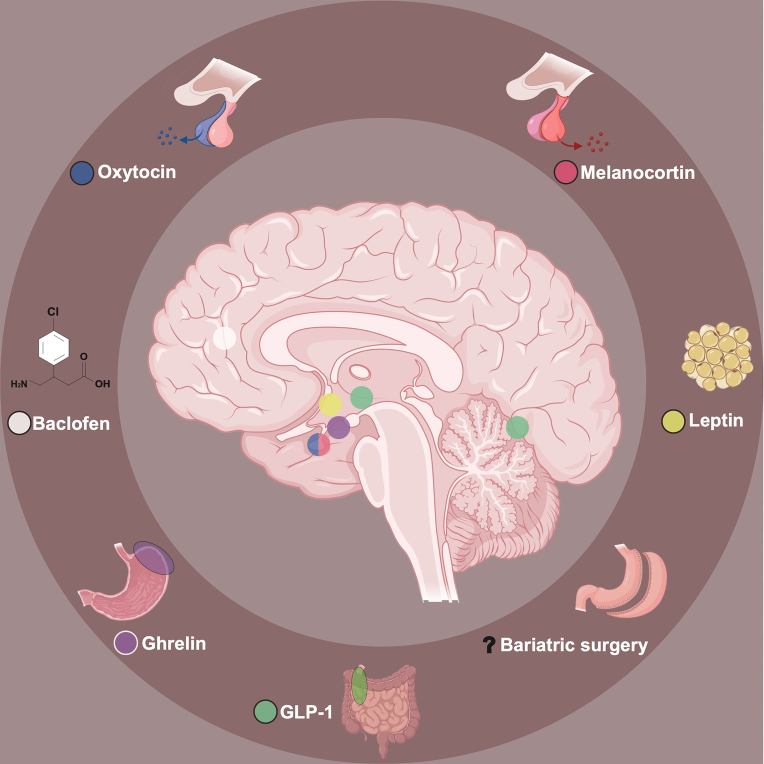 Figure 2: