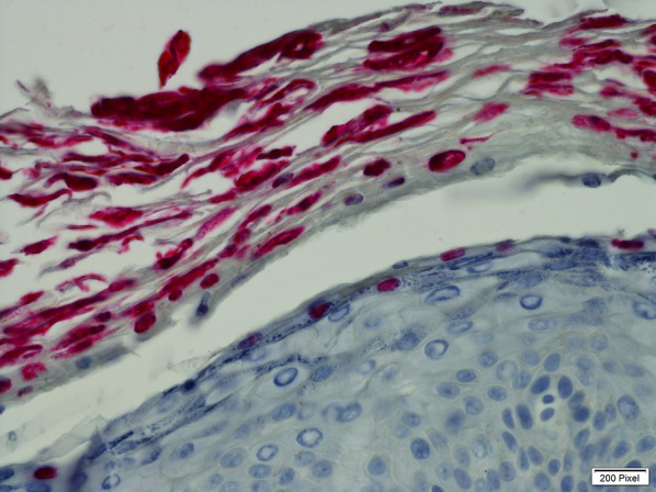 Fig. 3