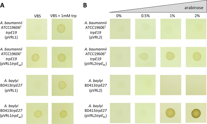 FIG 2