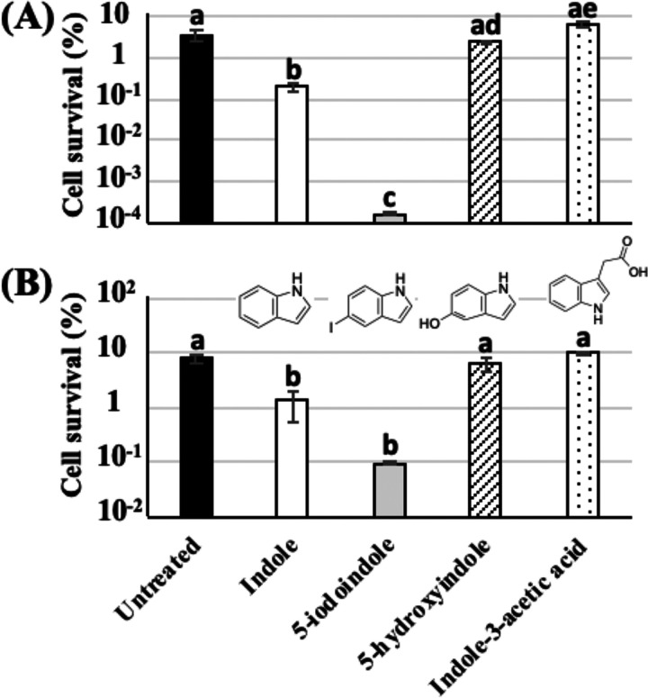 FIG 6