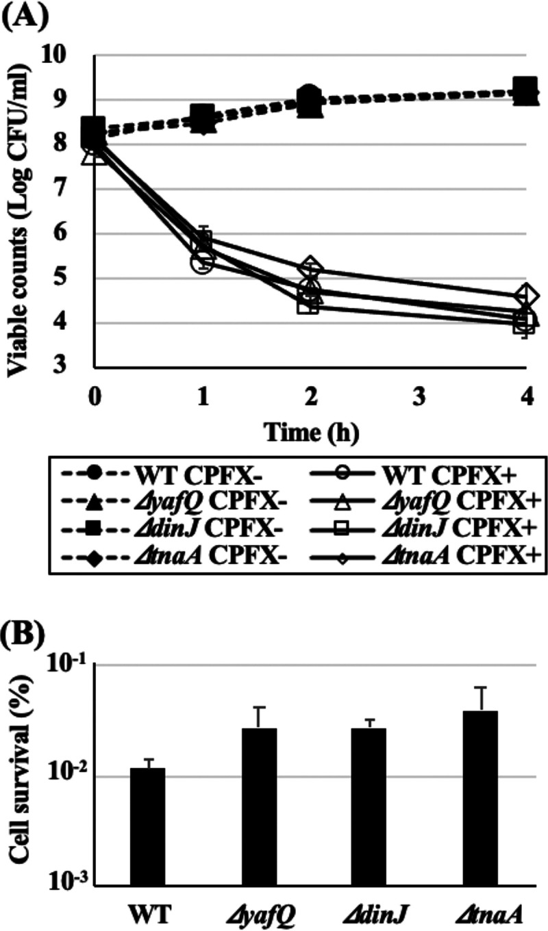 FIG 2