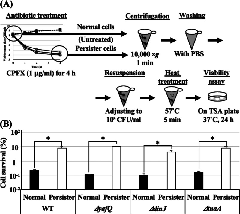 FIG 3