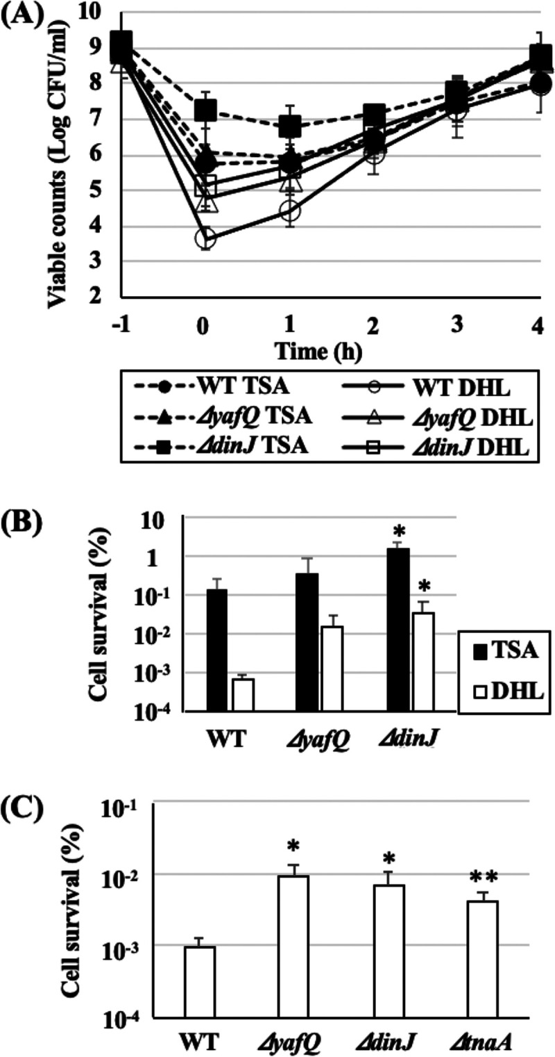 FIG 1