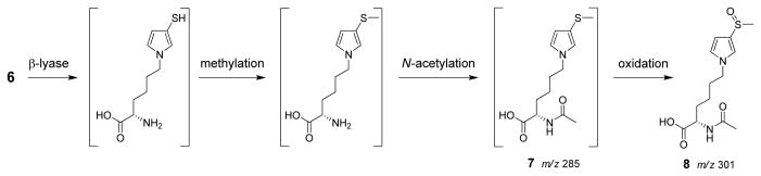 Scheme 2