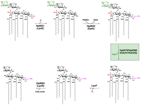 Fig. 1