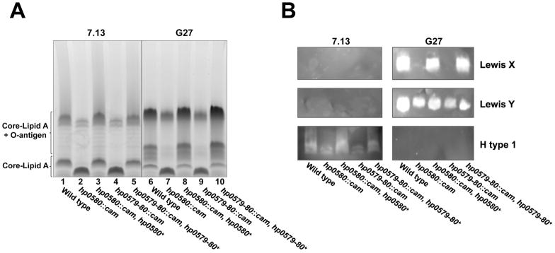 Fig. 7