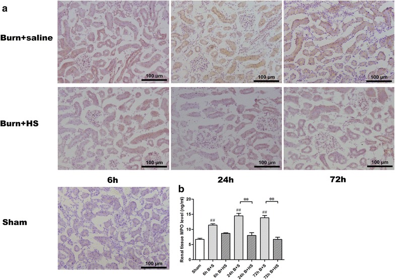 Figure 5