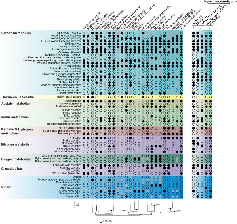 FIG 4