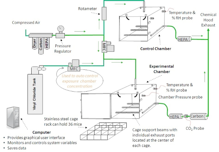 Figure 2: