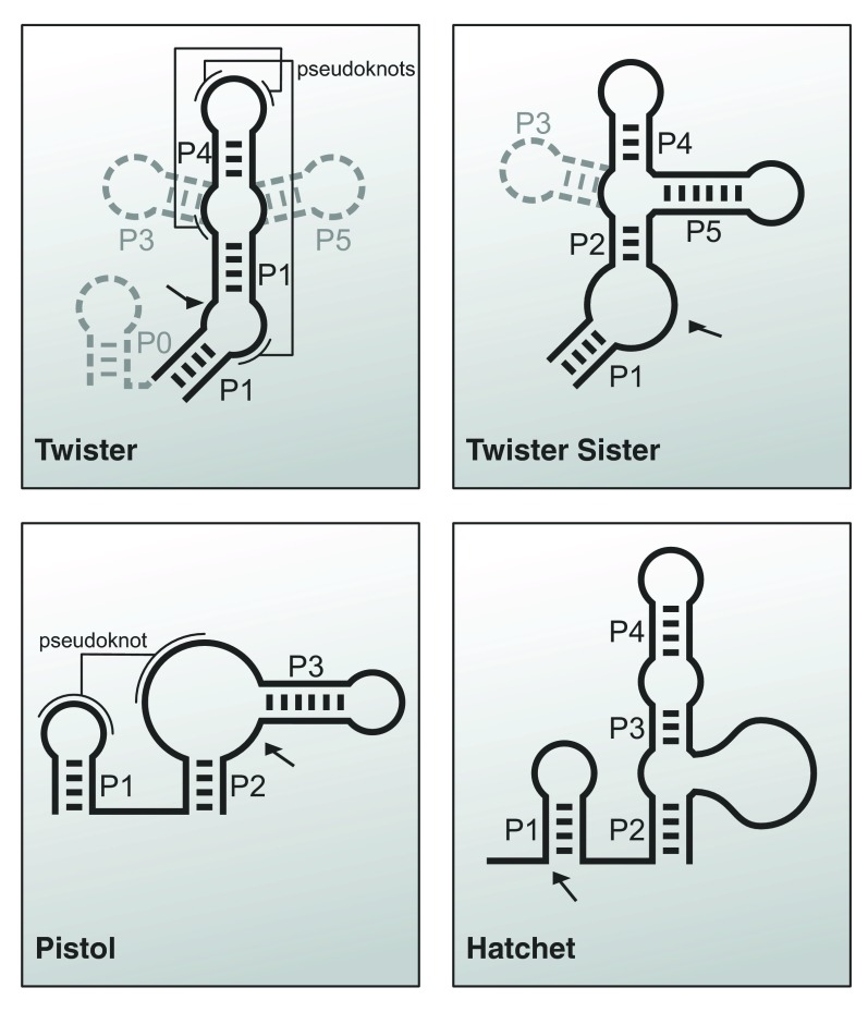 Figure 5. 