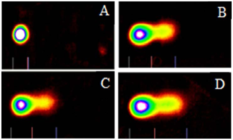 Figure 4: