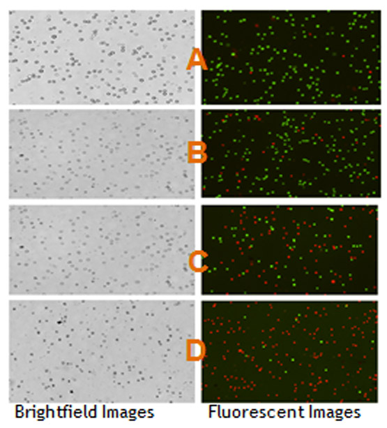 Figure 2: