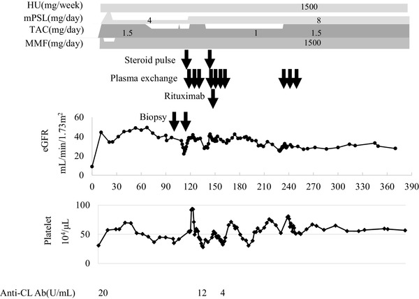 Fig. 1