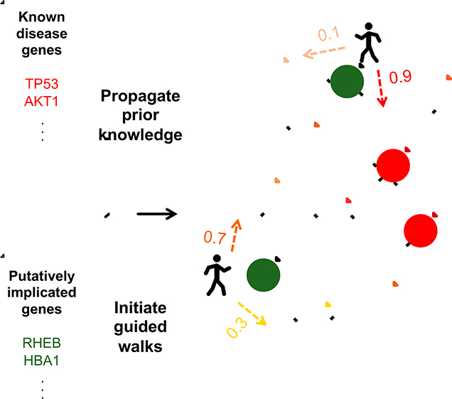 graphic file with name nihms-1599085-f0001.jpg