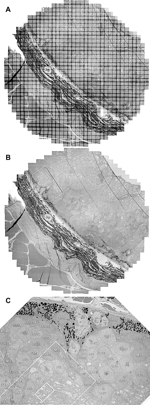 Figure 14