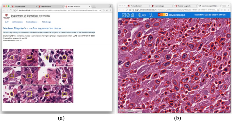 Figure 5: