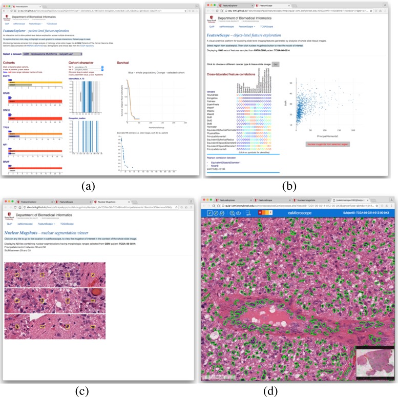 Figure 6: