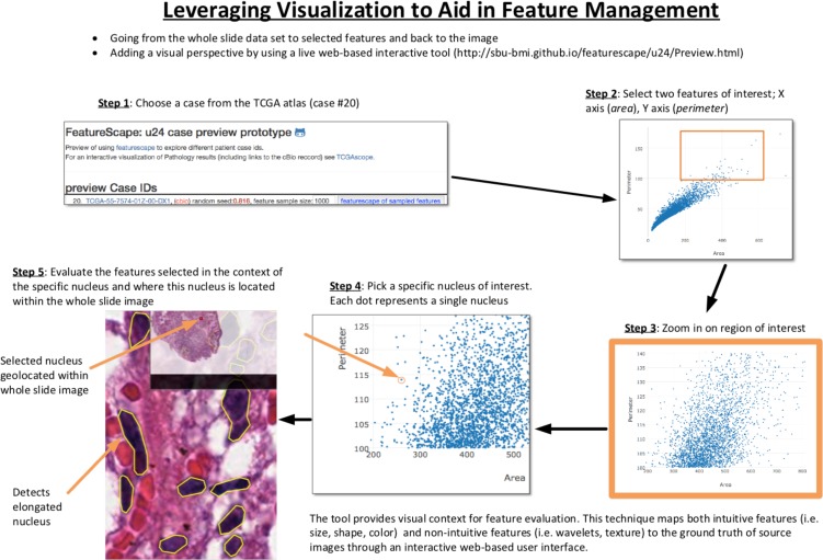 Figure 2: