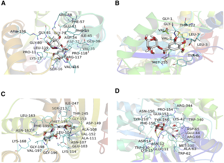 Figure 4