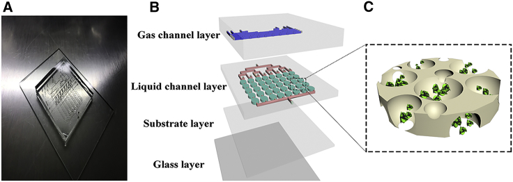 Figure 6