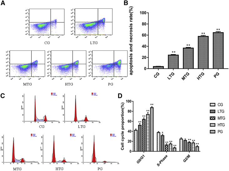 Figure 2