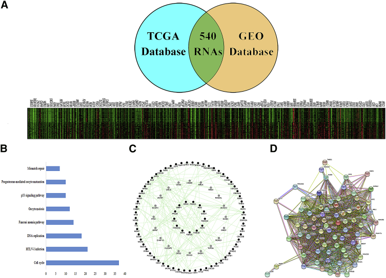 Figure 3