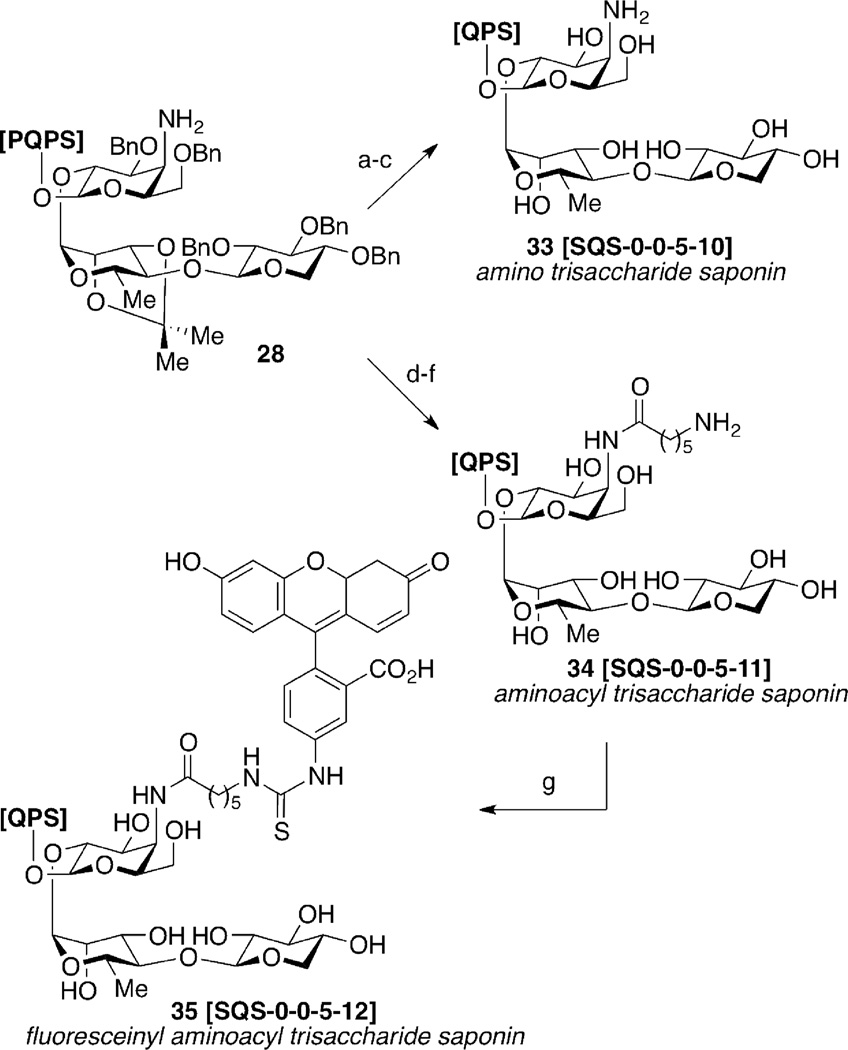 Scheme 5