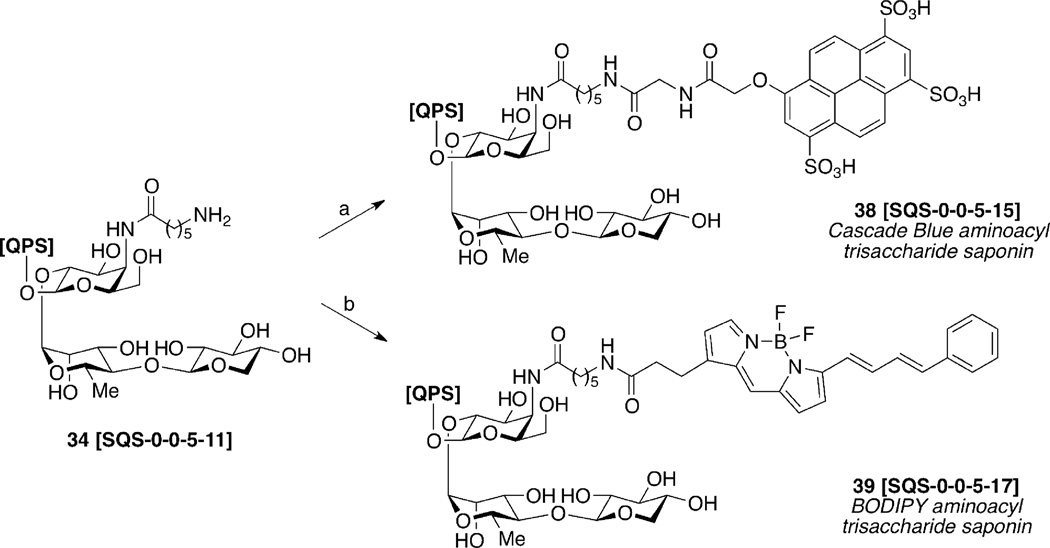 Scheme 6