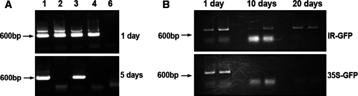 Fig. 2