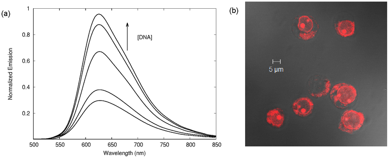 Figure 12.