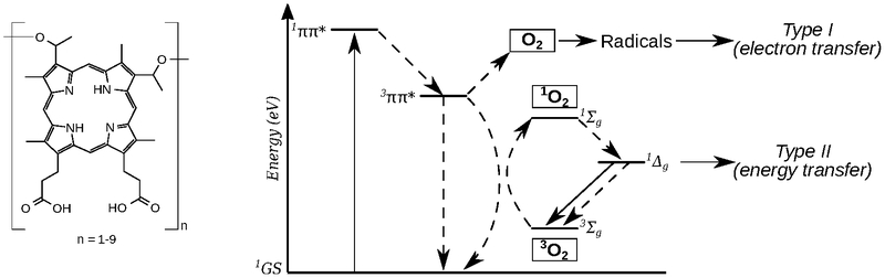 Scheme 1.