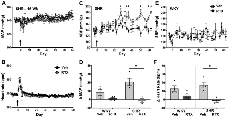 Figure 5: