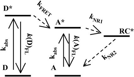 FIGURE 8