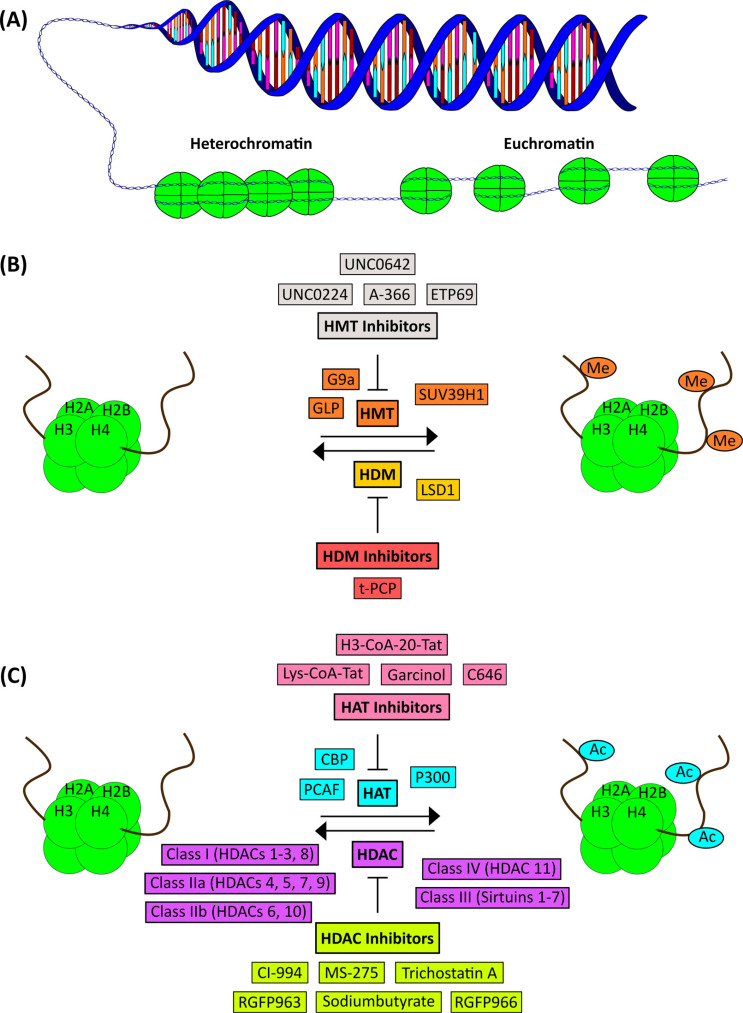 Fig. (1)