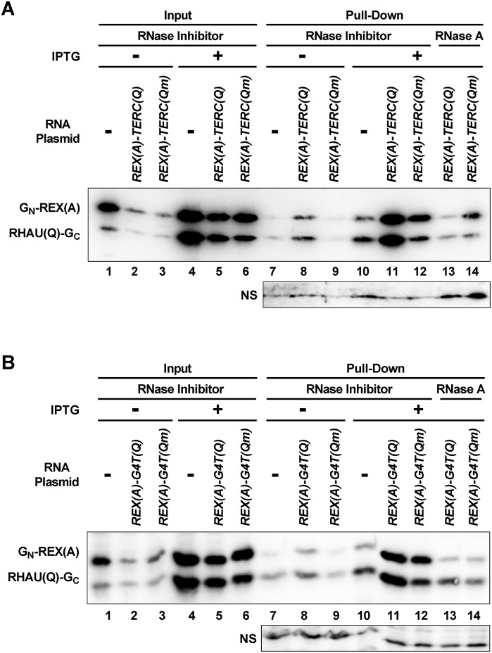 Fig. 8