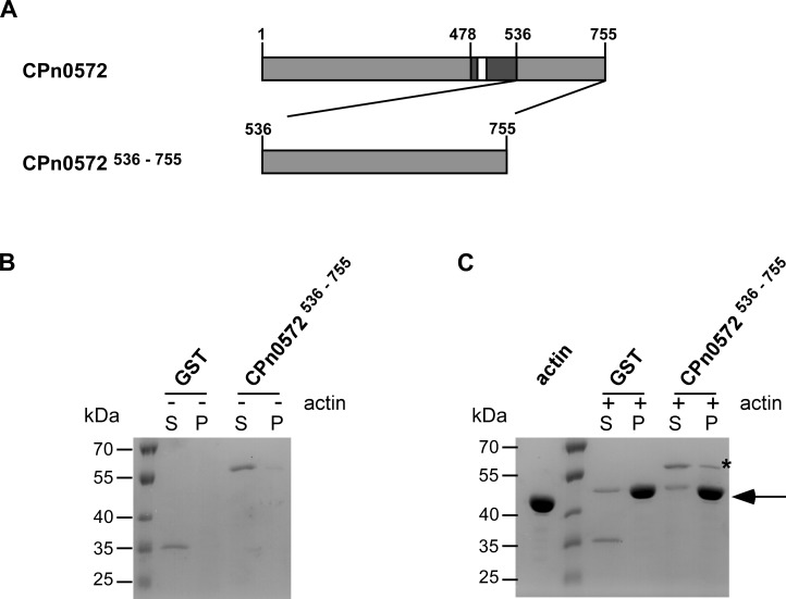 Fig 5