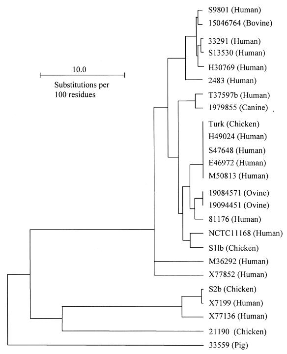 FIG. 4