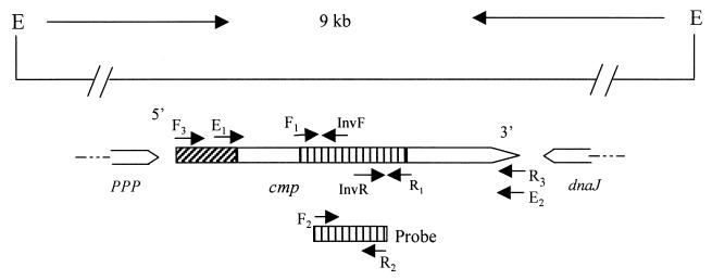 FIG. 1