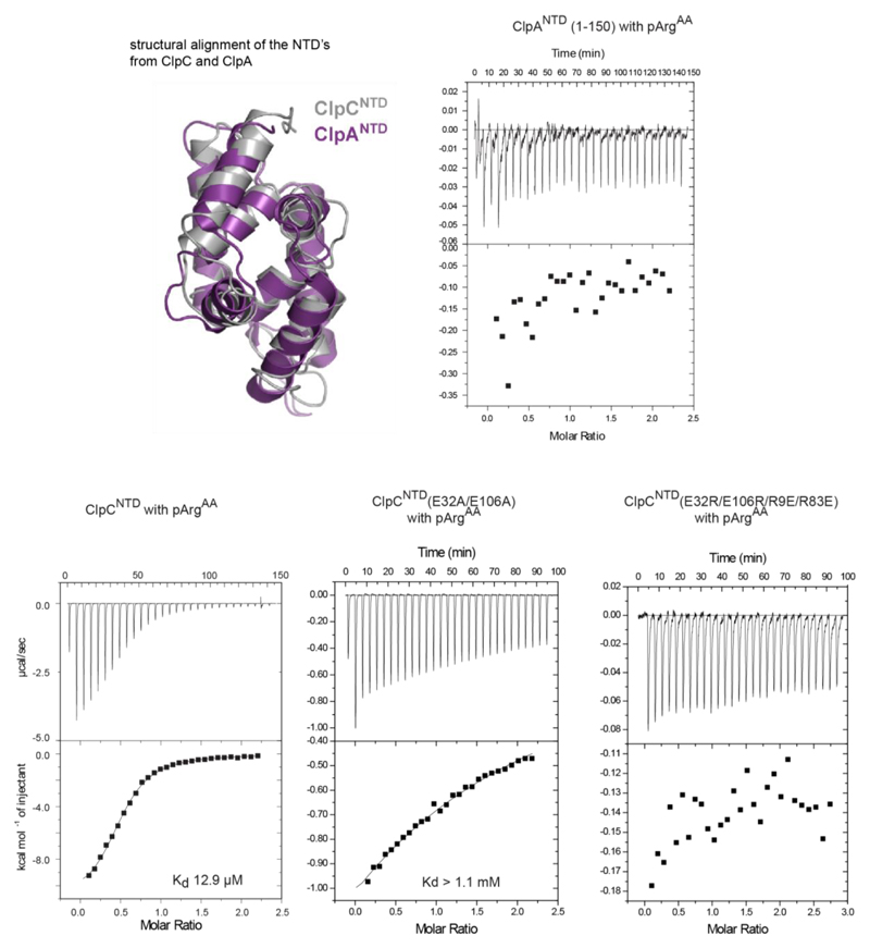 Extended Data Figure 4