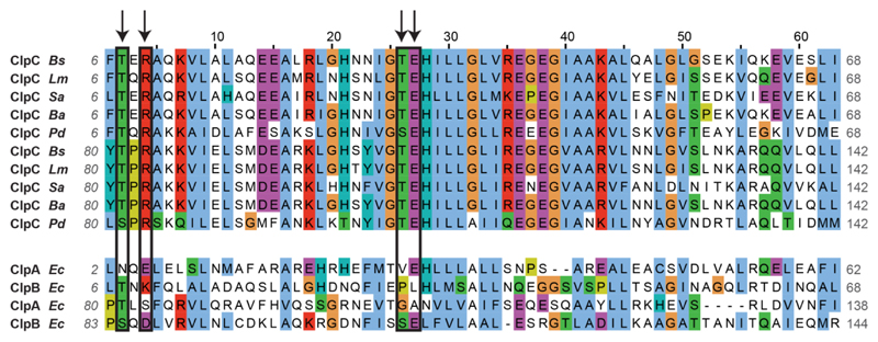 Extended Data Figure 6